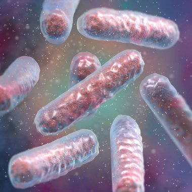 Tıbbi geçmiş, Enterobacterales bakterisi patojen salmonella, E. coli, veba bakterisi, proteobakteri, gram negatif, 3D görüntüleme.