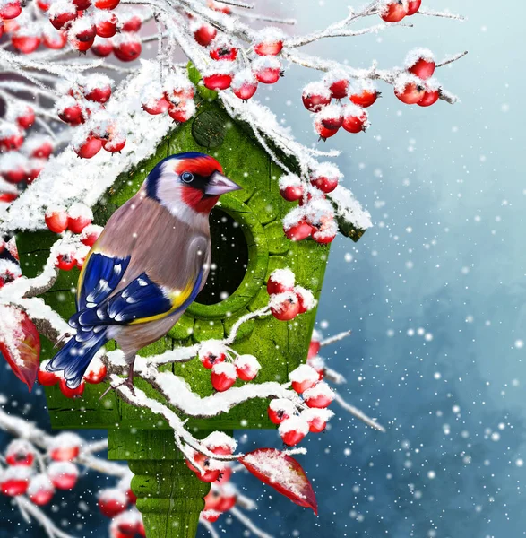 Новогодний Рождественский Праздничный Фон Маленькая Золотистая Птичка Сидит Заснеженной Ветке — стоковое фото