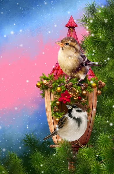 Noel Yeni Yılın Kış Tatili Geçmişi Iki Serçe Kuşu Bir — Stok fotoğraf