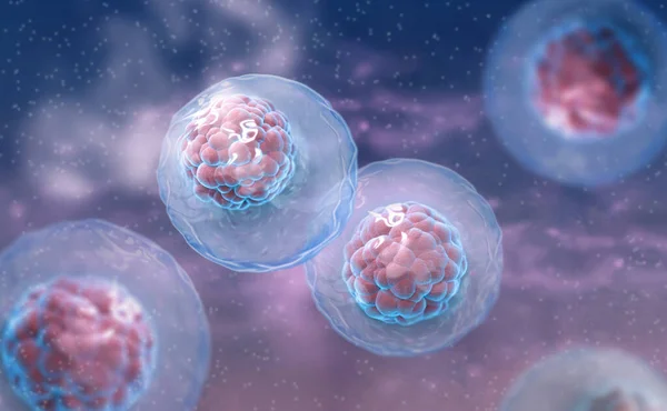 Medical Background Embryonic Stem Cells Capable Self Renewal Rendering — Stock Photo, Image