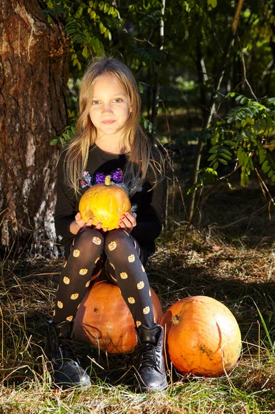 小女孩在秋天的森林里摆姿势 万圣节时穿着嘉年华会服装的有趣的孩子 公园里快乐的孩子和南瓜 万圣节快乐 — 图库照片