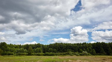 Gökyüzüne ve çayırlara karşı sık ormanın panoramik fotoğrafı. Bir sıra ağacın ve mavi gökyüzünün güzel manzarası