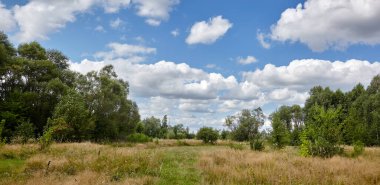 Ufuktaki yaz ormanının mavi gökyüzüne karşı panoramik fotoğrafı. Yeşil ağaçların ve mavi gökyüzünün güzel manzarası
