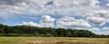 Gökyüzüne ve çayırlara karşı sık ormanın panoramik fotoğrafı. Bir sıra ağacın ve mavi gökyüzünün güzel manzarası