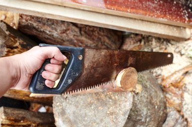 Adam testereyle odun kesiyor. Kış için yakacak odun hazırlığı