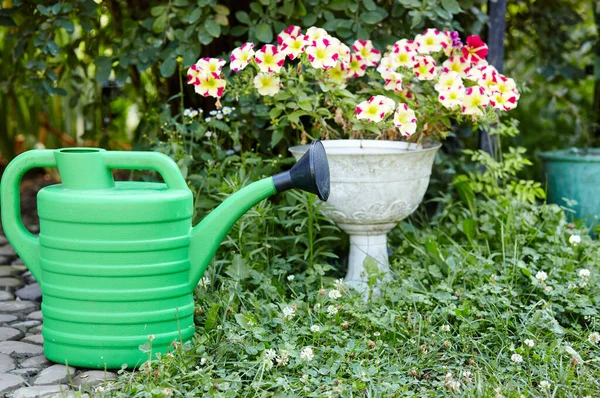 Zöld Műanyag Öntöződoboz Kertben Kertészkedés Fogalma — Stock Fotó