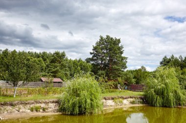 Güneşli bir günde bulutlu mavi gökyüzüne karşı arka bahçedeki dekoratif gölet. Bitkilerle dolu göl - güzel element manzarası