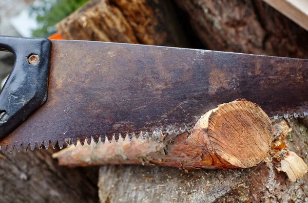 Man Cutting Wood Saw Preparation Firewood Winter — Stock Photo, Image