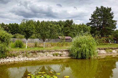 Güneşli bir günde bulutlu mavi gökyüzüne karşı arka bahçedeki dekoratif gölet. Bitkilerle dolu göl - güzel element manzarası