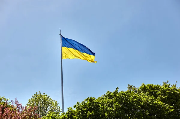 Прапор України Український Національний Прапор Пурхає Вітром Проти Блакитного Неба — стокове фото