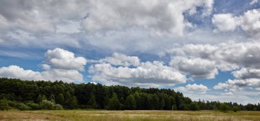 Gökyüzüne ve çayırlara karşı sık ormanın panoramik fotoğrafı. Bir sıra ağacın ve mavi gökyüzünün güzel manzarası