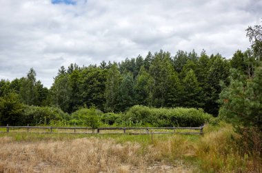 Güneşli bir günde mavi gökyüzüne karşı eski ahşap ağıl. Sık orman arka planında ahşap çitleri olan tarım arazisindeki otlaklar. Kırsal manzaralı çayır ve yürüyen hayvanlar için çitli bir yer.