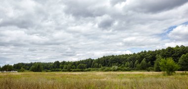 Gökyüzüne ve çayırlara karşı sık ormanın panoramik fotoğrafı. Bir sıra ağacın ve mavi gökyüzünün güzel manzarası