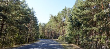 Ormanın yakınındaki asfalt kıvrımlı köy yolunda. Kırsal Avrupa 'da bir viraj yolu