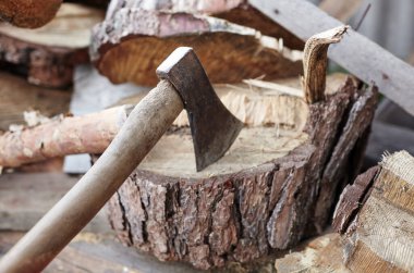 Balta sapına saplanmış. Odun kesmek için balta. Kış için yakacak odun hazırlıyorum. Seçici odak, bulanık arkaplan