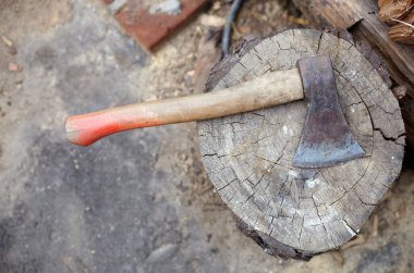 Balta sapına saplanmış. Odun kesmek için balta. Kış için yakacak odun hazırlıyorum. Seçici odak, bulanık arkaplan