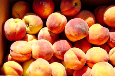 Meyve bahçesinin arka planı olarak taze şeftaliler, üst manzara. Karton kutuda şeftaliler, yakın plan. Meyve pazarında sağlıklı yiyecekler