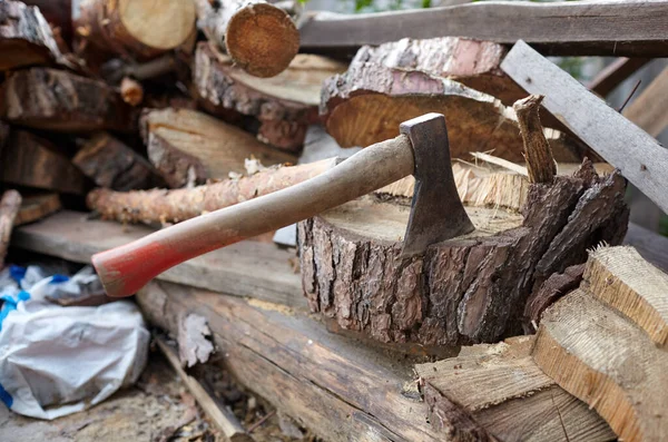 Balta sapına saplanmış. Odun kesmek için balta. Kış için yakacak odun hazırlıyorum. Seçici odak, bulanık arkaplan