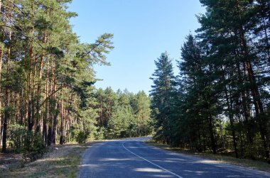 Ormanın yakınındaki asfalt kıvrımlı köy yolunda. Kırsal Avrupa 'da bir viraj yolu