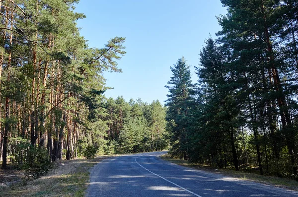 Ormanın yakınındaki asfalt kıvrımlı köy yolunda. Kırsal Avrupa 'da bir viraj yolu