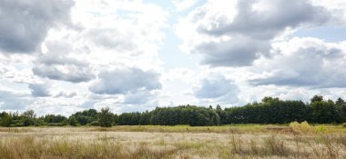 Parlak yaz ormanlarının gökyüzü ve çayırlara karşı panoramik fotoğrafı. Yeşil ağaçların ve mavi gökyüzünün güzel manzarası