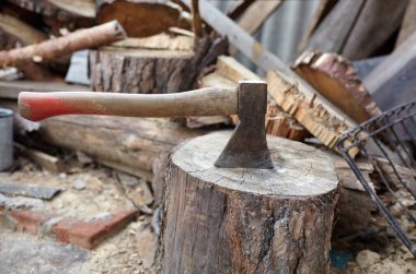 Balta sapına saplanmış. Odun kesmek için balta. Kış için yakacak odun hazırlıyorum. Seçici odak, bulanık arkaplan