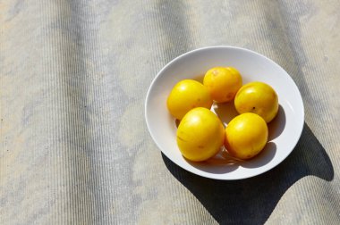 Tabakta olgun sarı erikler. Tahta arka planda sulu meyve, yakın plan. Taze erik, vejetaryen yemeği. Hasat konsepti, üst görünüm