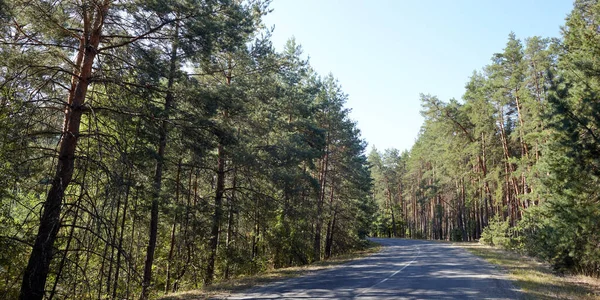 Ormanın yakınındaki asfalt kıvrımlı köy yolunda. Kırsal Avrupa 'da bir viraj yolu