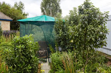 Dışarıdaki sivrisinek ağının altındaki çardak. Arka bahçede dinlenecek bir yer.