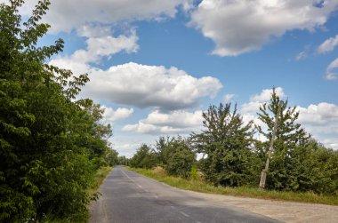 Ormanın yakınındaki asfalt kıvrımlı köy yolunda. Kırsal Avrupa 'da bir viraj yolu