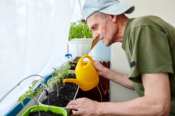 Orang Tua Berkebun Rumah Kaca Tangan Pria Memegang Kaleng Air — Stok Foto