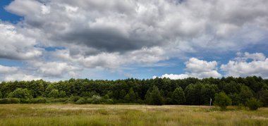 Gökyüzüne ve çayırlara karşı sık ormanın panoramik fotoğrafı. Bir sıra ağacın ve mavi gökyüzünün güzel manzarası