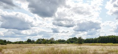 Parlak yaz ormanlarının gökyüzü ve çayırlara karşı panoramik fotoğrafı. Yeşil ağaçların ve mavi gökyüzünün güzel manzarası