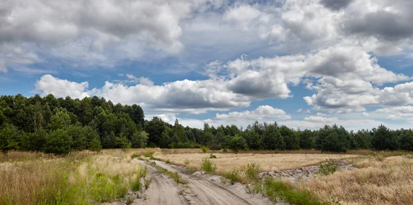Gökyüzüne ve çayırlara karşı sık ormanın panoramik fotoğrafı. Bir sıra ağacın ve mavi gökyüzünün güzel manzarası