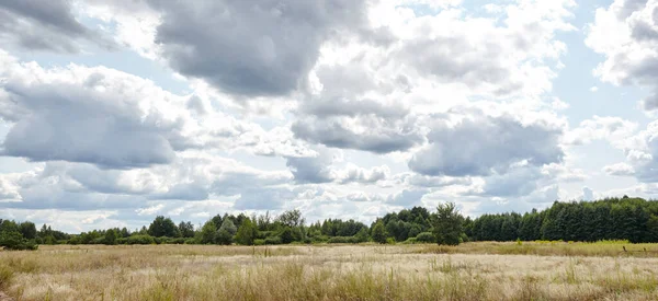 Parlak yaz ormanlarının gökyüzü ve çayırlara karşı panoramik fotoğrafı. Yeşil ağaçların ve mavi gökyüzünün güzel manzarası