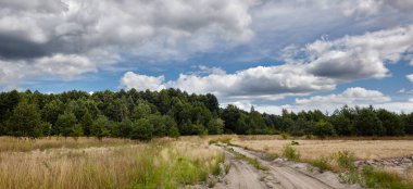 Gökyüzüne ve çayırlara karşı sık ormanın panoramik fotoğrafı. Bir sıra ağacın ve mavi gökyüzünün güzel manzarası