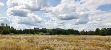 Parlak yaz ormanlarının gökyüzü ve çayırlara karşı panoramik fotoğrafı. Yeşil ağaçların ve mavi gökyüzünün güzel manzarası