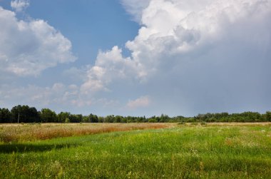 Güzel yaz kırsal manzarası. Ağaçlı ve çimenli çayır Bulutlara karşı