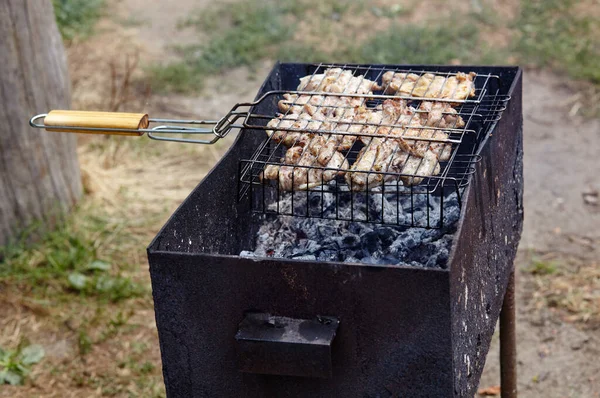 Tasty Chicken Wings Cooking Barbecue Grill Outdoors Roasted Chicken Meat — Stockfoto