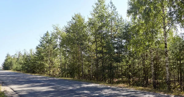 Asphalt Crossroad Suburban Road Road Green Trees Cloudy Blue Sky —  Fotos de Stock