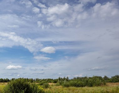 Güzel yaz kırsal manzarası. Ağaçlı ve çimenli çayır Bulutlara karşı