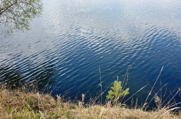 Krásná Říční Krajina Povrch Vody Břehu Povrch Jezera Slunečného Dokonalého — Stock fotografie