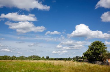 Beautiful summer rural landscape with old barn. Meadow with trees and grass against the clouds sky