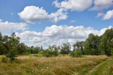 Güzel yaz kırsal manzarası. Ağaçlı ve çimenli çayır Bulutlara karşı