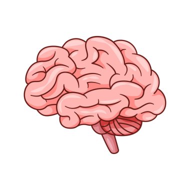 Beyaz arkaplanda insan beyni vektörü izole edildi