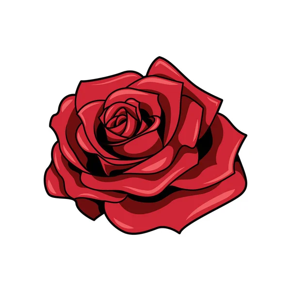 Rosa Roja Vector Flor Aislado Sobre Fondo Blanco — Vector de stock