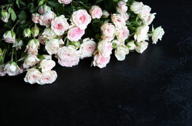 Siyah arka planda güzel çiçekler. Gül buketi. Mükemmel düzüşme. Annemin tatil kartpostalı kutlu olsun. Uluslararası Kadınlar Günü selamı. Reklam veya tanıtım için şık bir fikir.