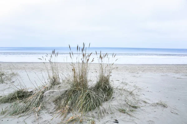 Kumsalda Kum Dokusu Soğuk Deniz Kenarı Arka Planı Baltık Denizi — Stok fotoğraf