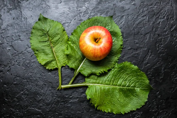 Яблоко Зелеными Листьями Черном Фоне Фото Натюрморта Здоровый Стиль Плоды — стоковое фото