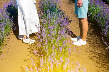 Çift kucaklaşması, romantik aşk hikayesi. Yaz tarlasında güzel mor lavanta çiçekleri. Sıcak ve ilham verici kavram.